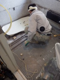 IMGP4613 IMGP46131-e1615018583327